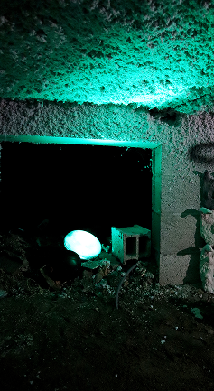 Tricolore - Vert